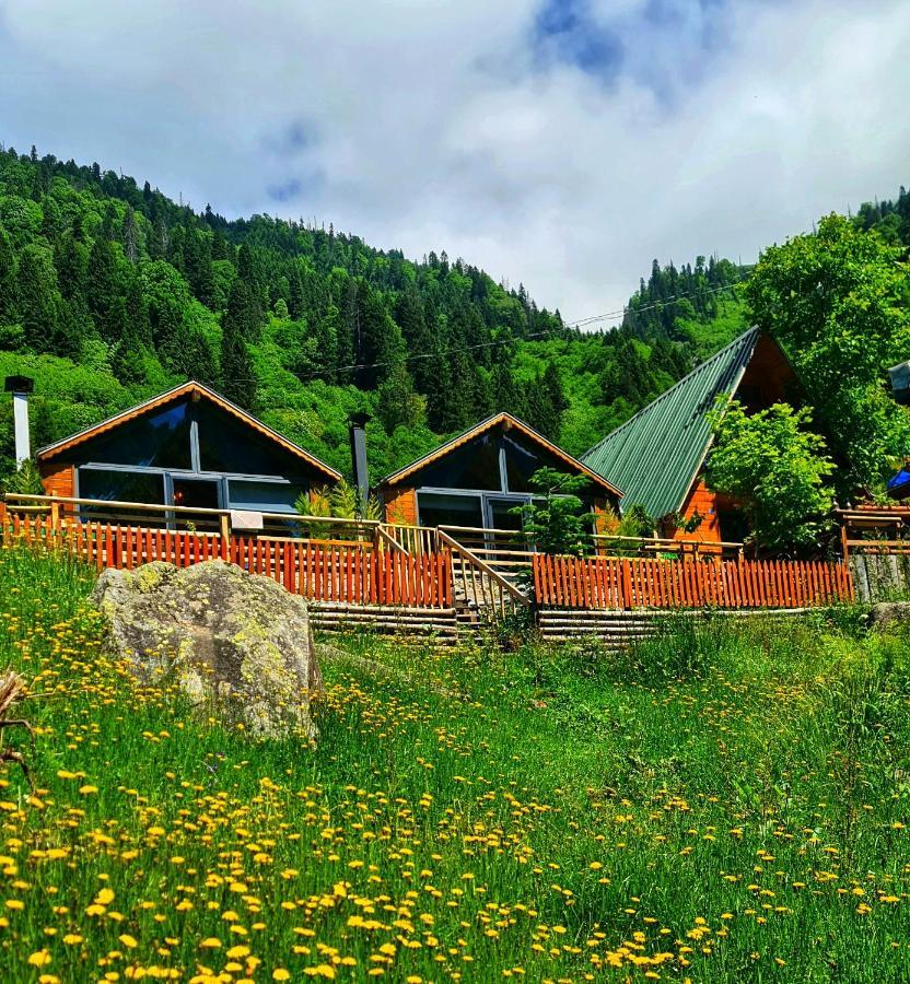 Dağ evi Yayla Ayder Yaylası